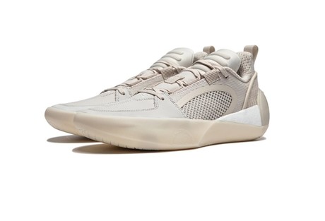 Professional Basketballschuh 